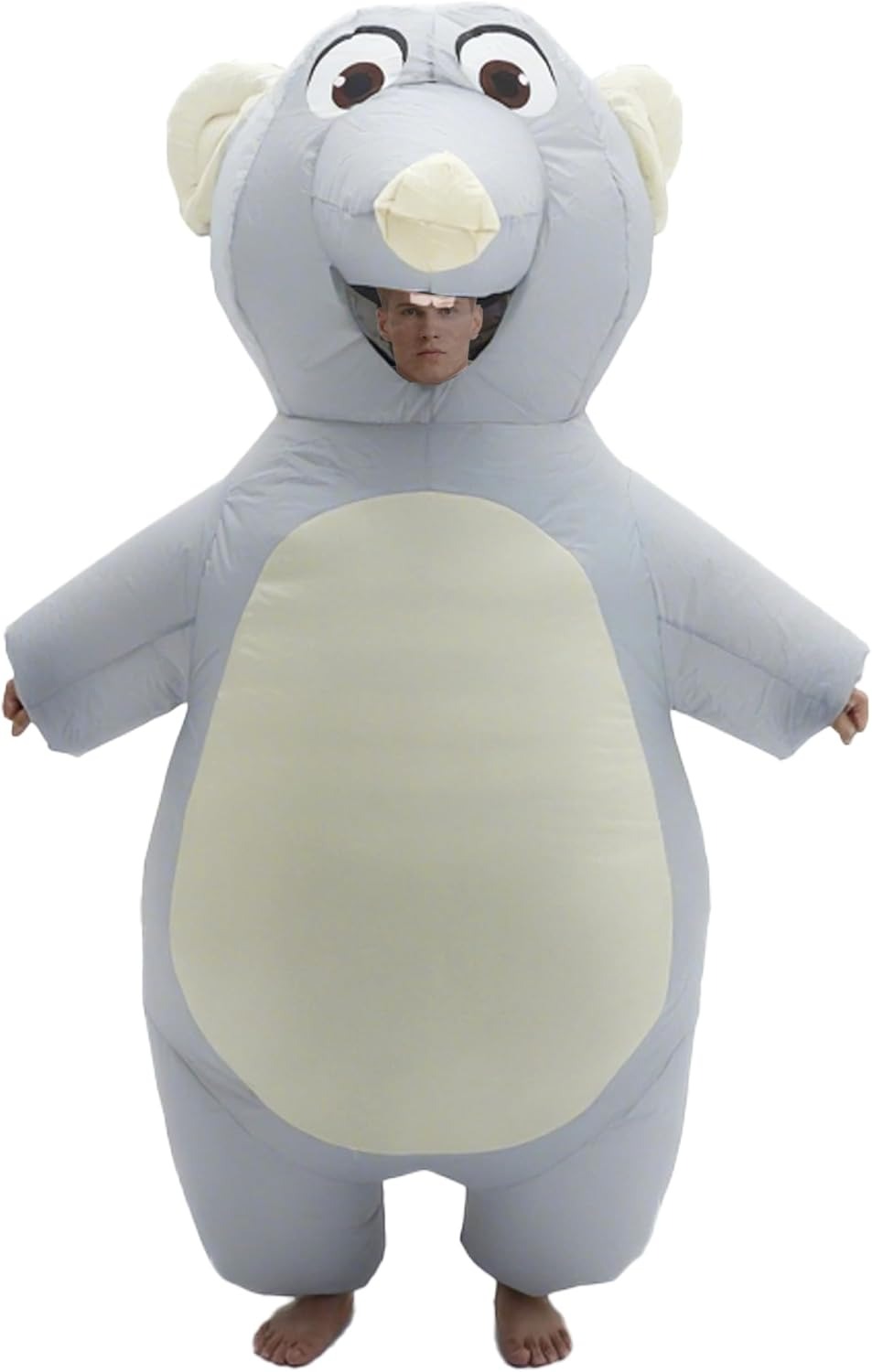 Inflatable Mouse Costume for A - Suits review and price